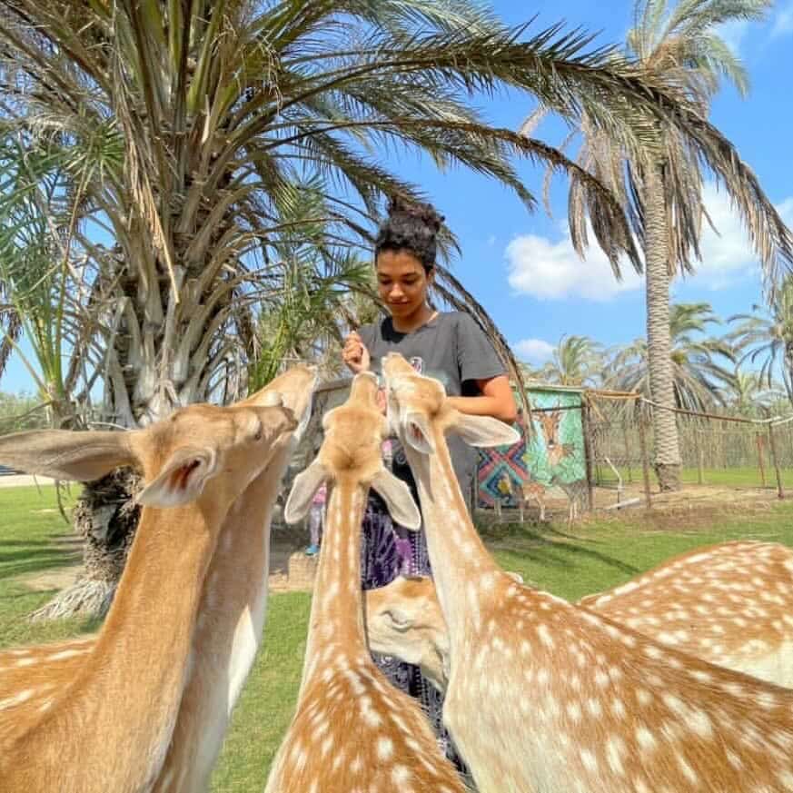 افريكانو بارك