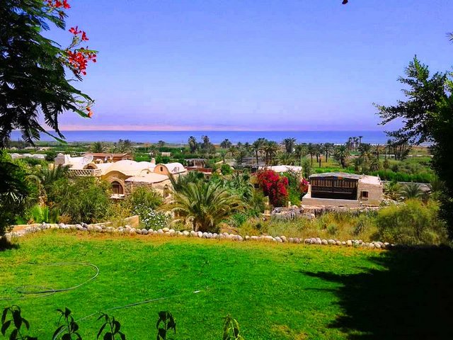 صور الأنشطة الموجودة في قرية تونس