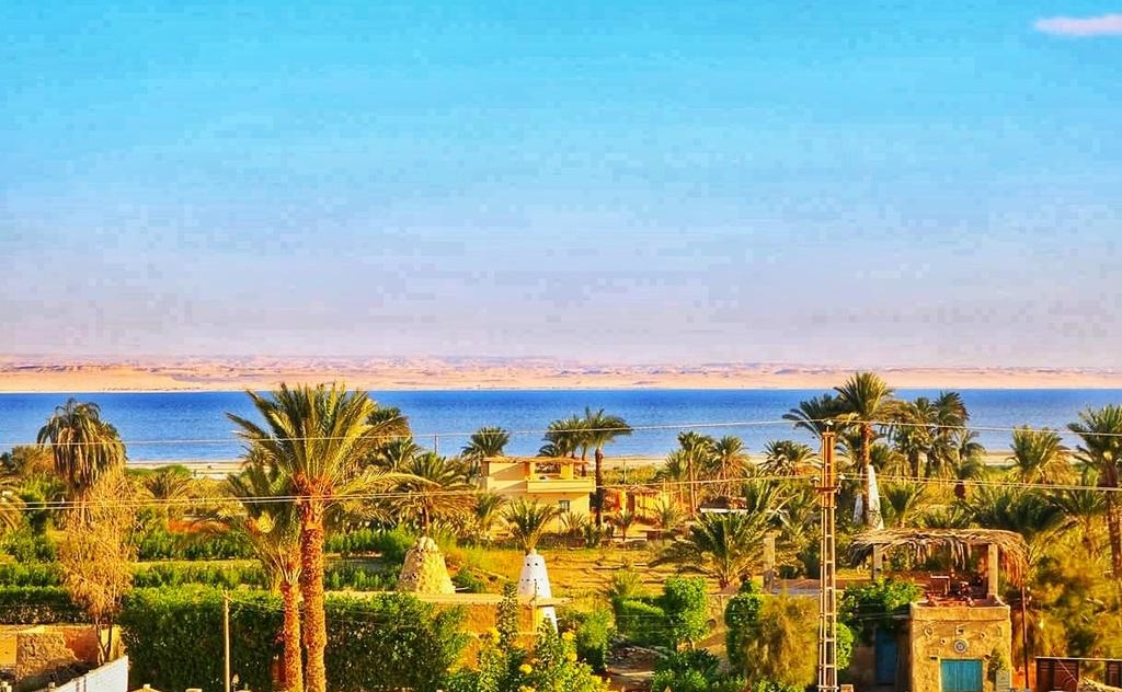 قرية تونس بالفيوم