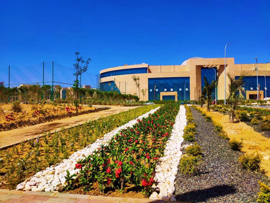 جامعة الملك سلمان