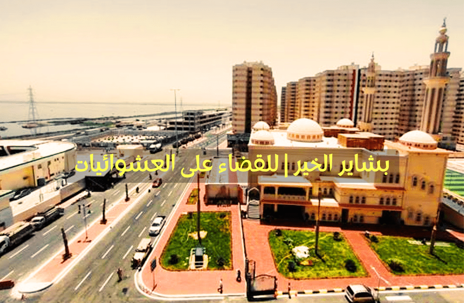 بشاير الخير