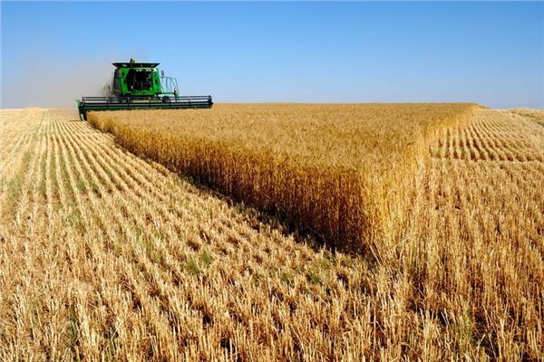 مشروع المليون ونصف فدان.