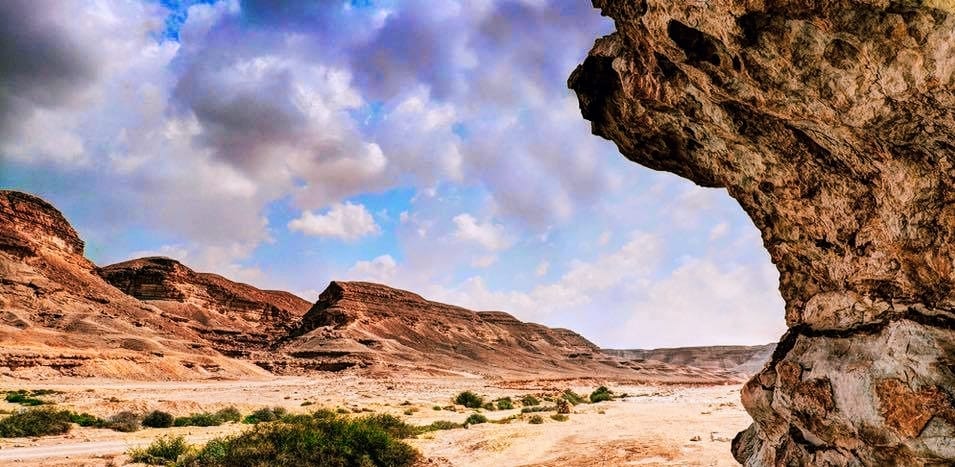 محمية وادى دجلة.