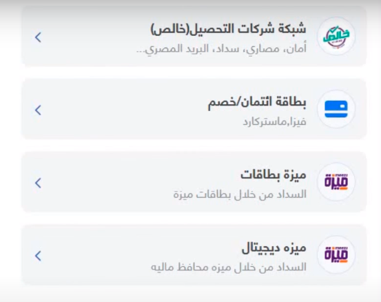 طرق الدفع في بوابة مصر الرقمية.