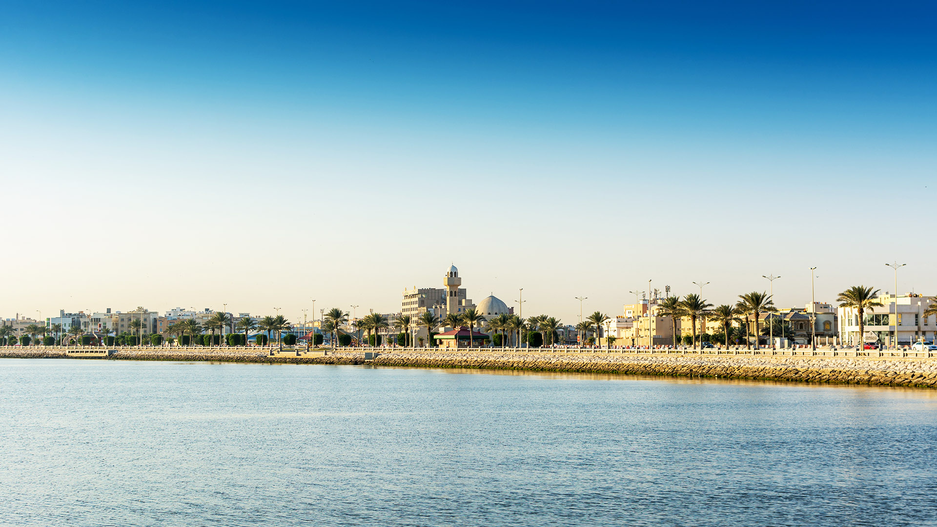 قصور للبيع في القنايات