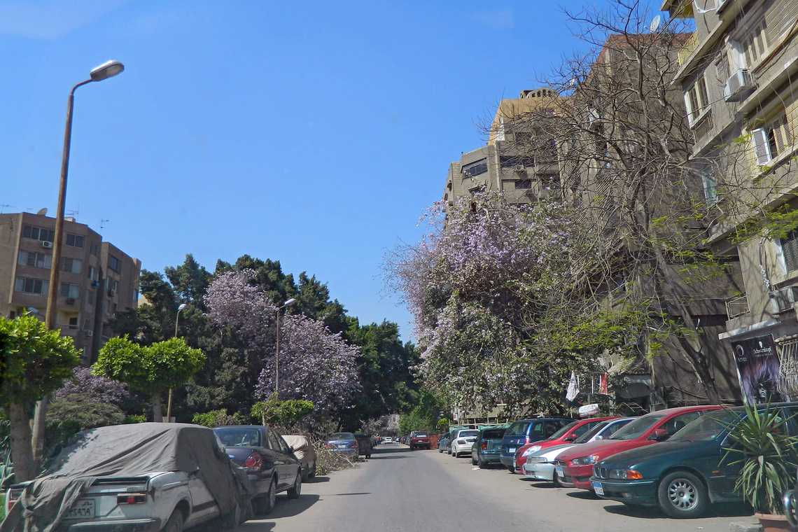 شقق للبيع في حدائق المعادي