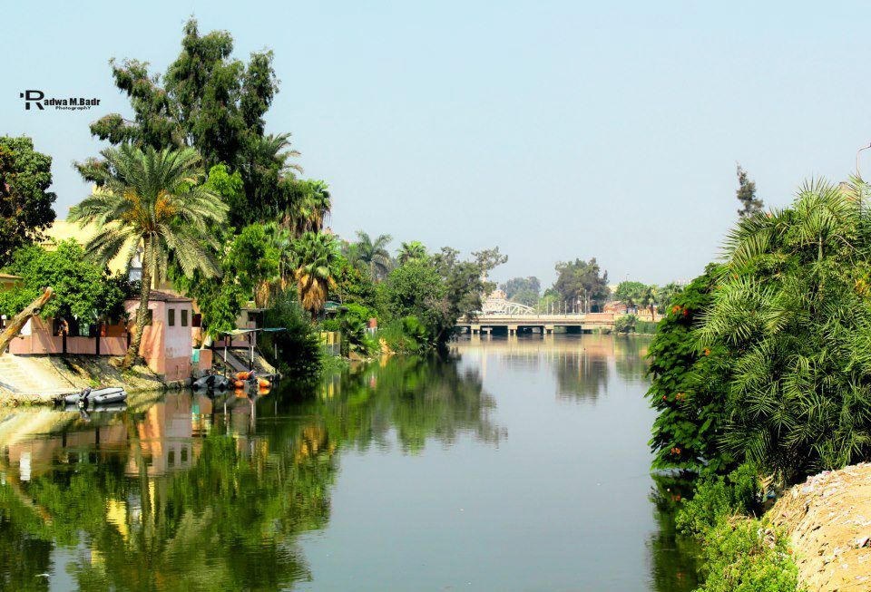 شقق للبيع في أولاد صقر