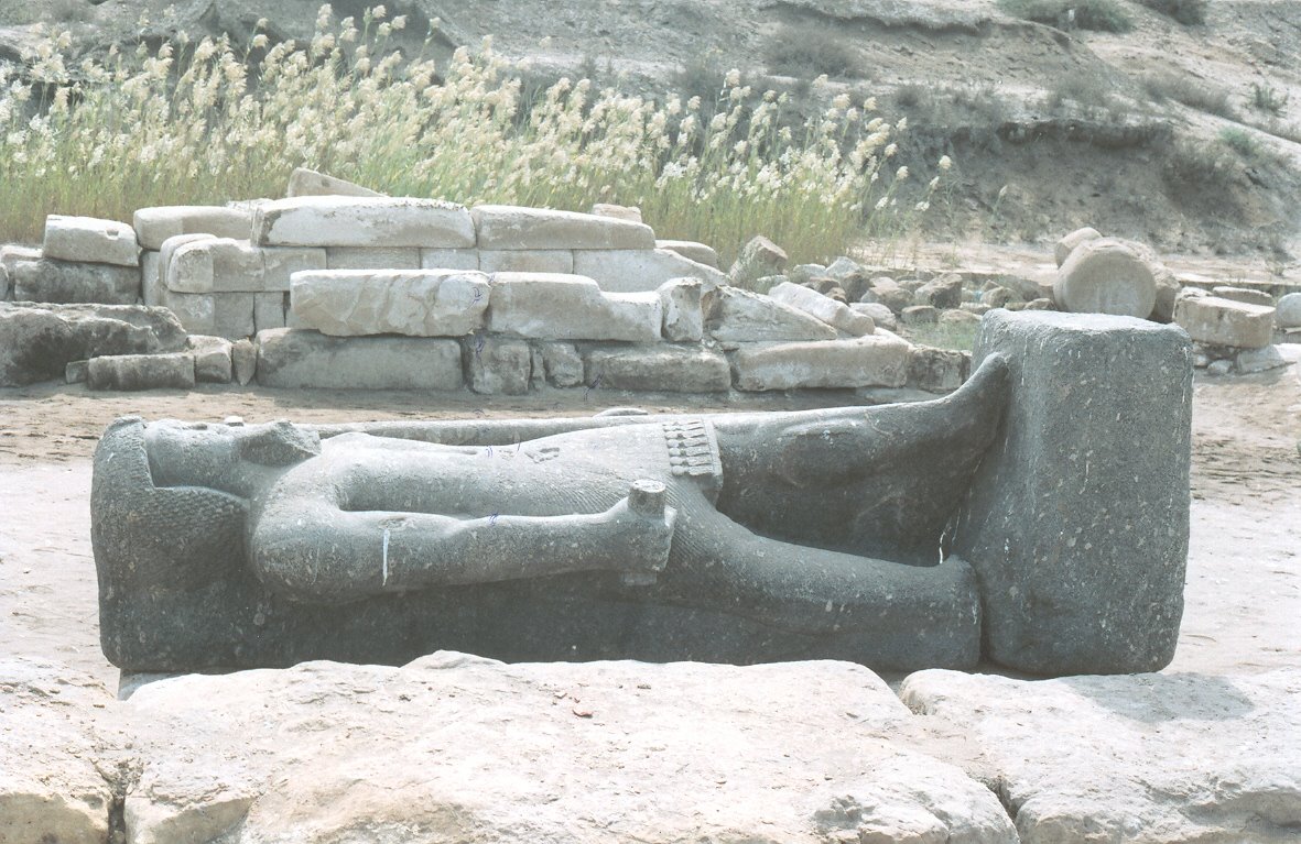 شقق للبيع في البرلس