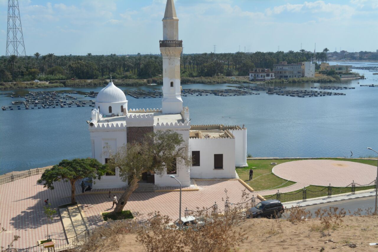 فلل للإيجار في المطرية بالدقهلية