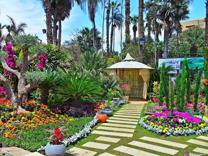 شقق للإيجار في الخانكه