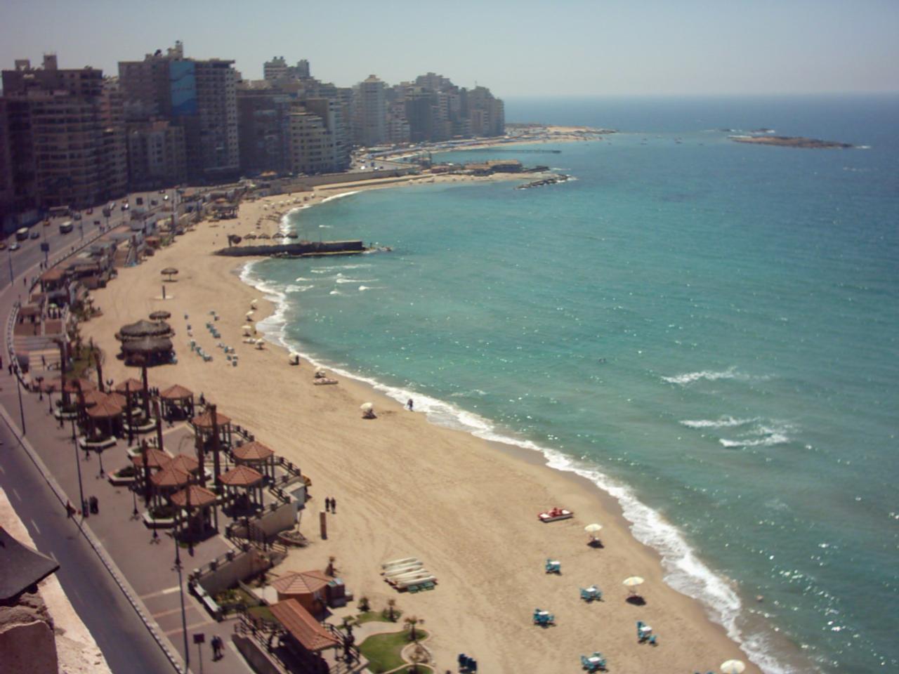 محلات للبيع في العصافرة